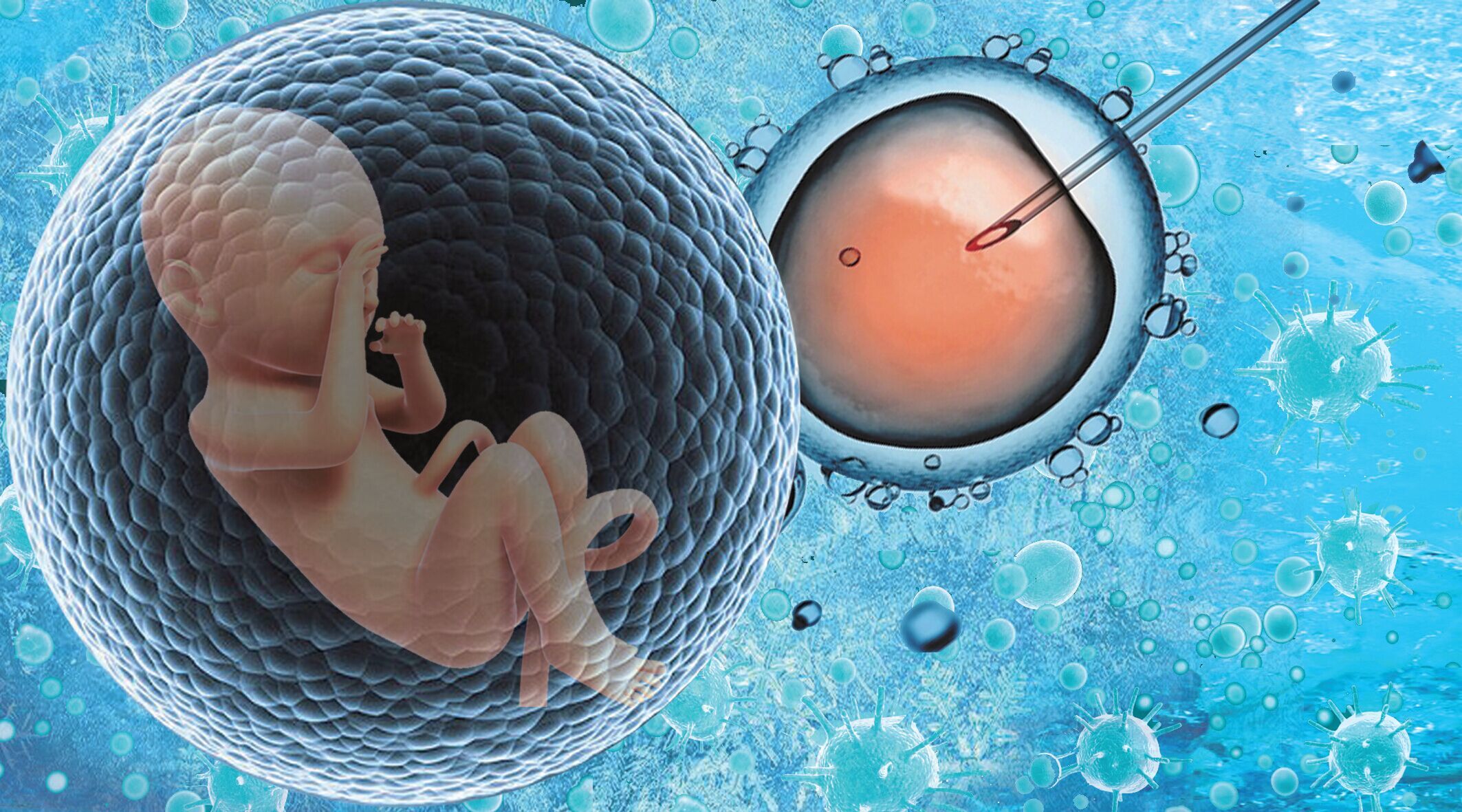 月经推迟十几天没有性生活怎么回事呢 月经推迟了十天没有性生活